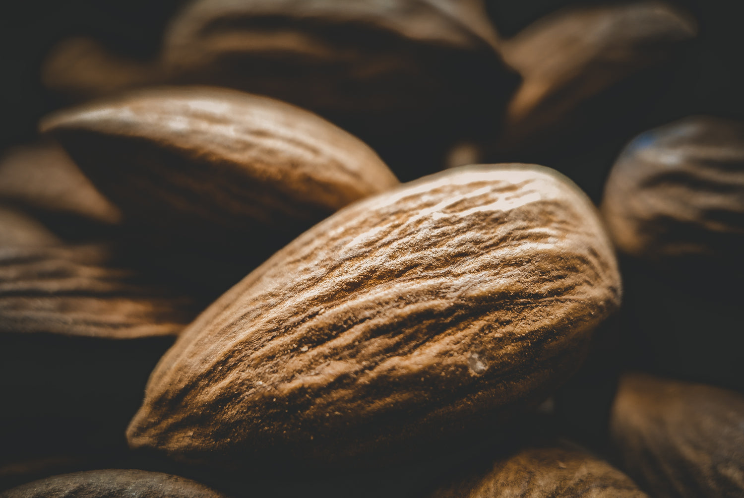 shea butter Body butter shea butter moisturiser Nomi Skincare close up of raw almonds